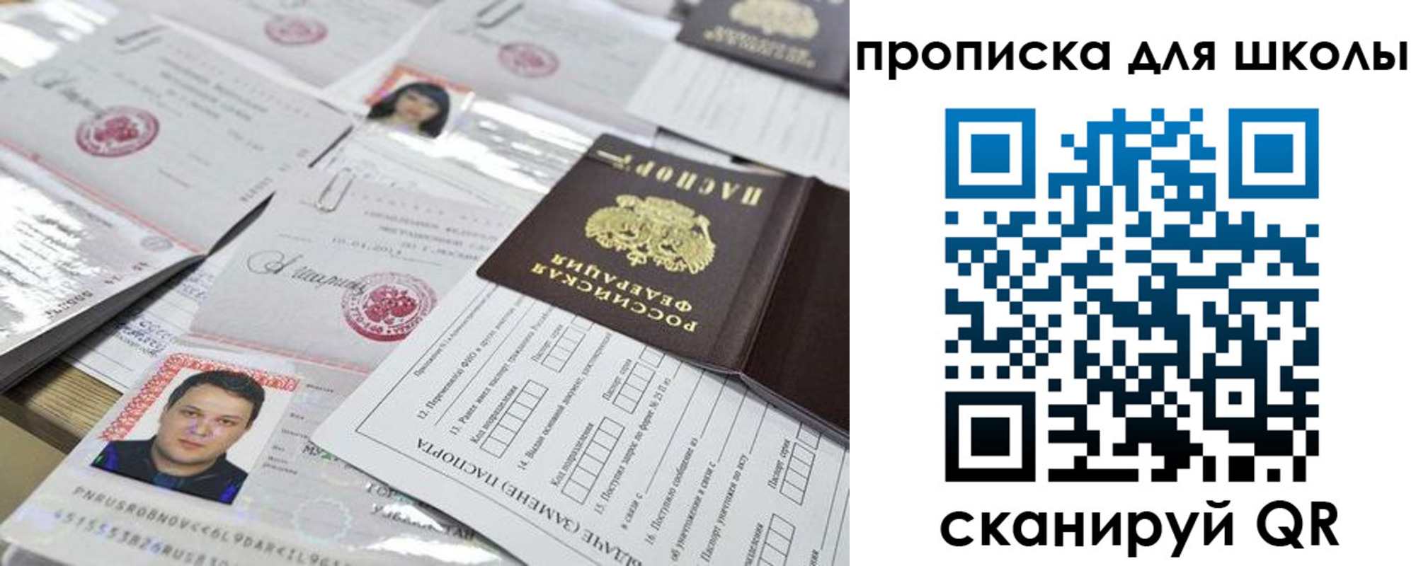 прописка иностранных граждан в Светлом